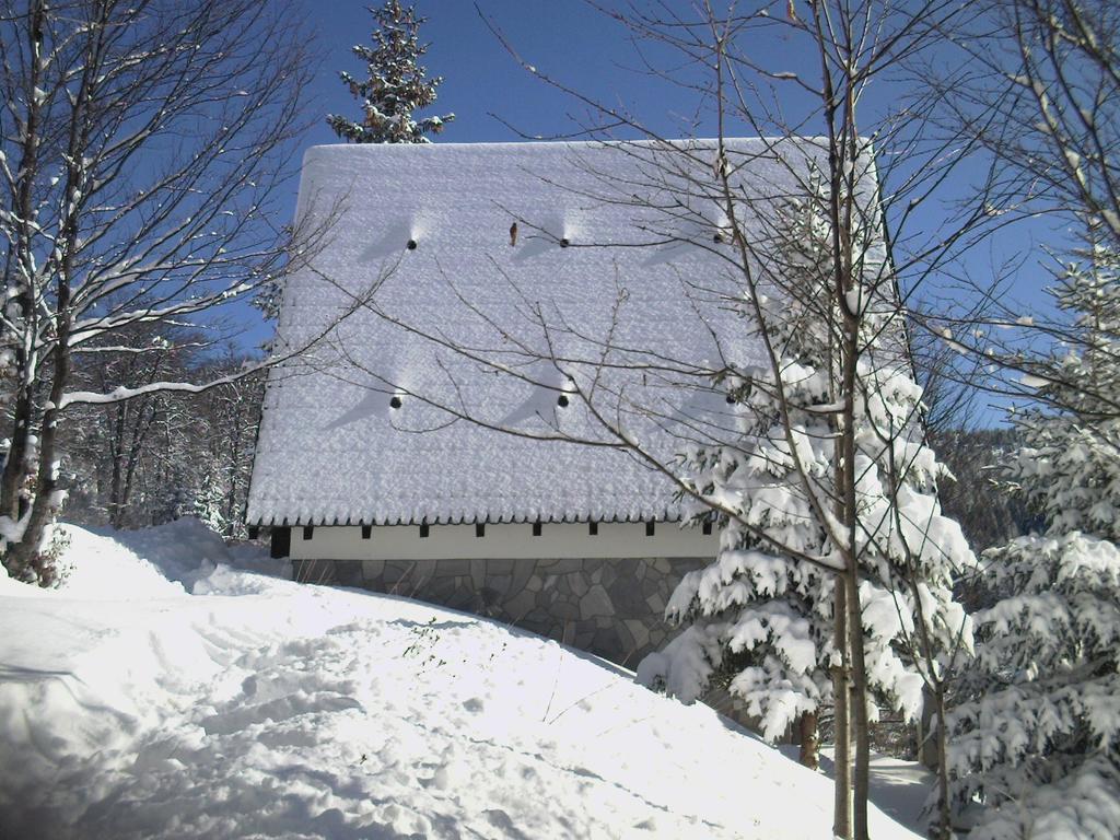 Holiday Home Kragovic Kopaonik Exterior foto